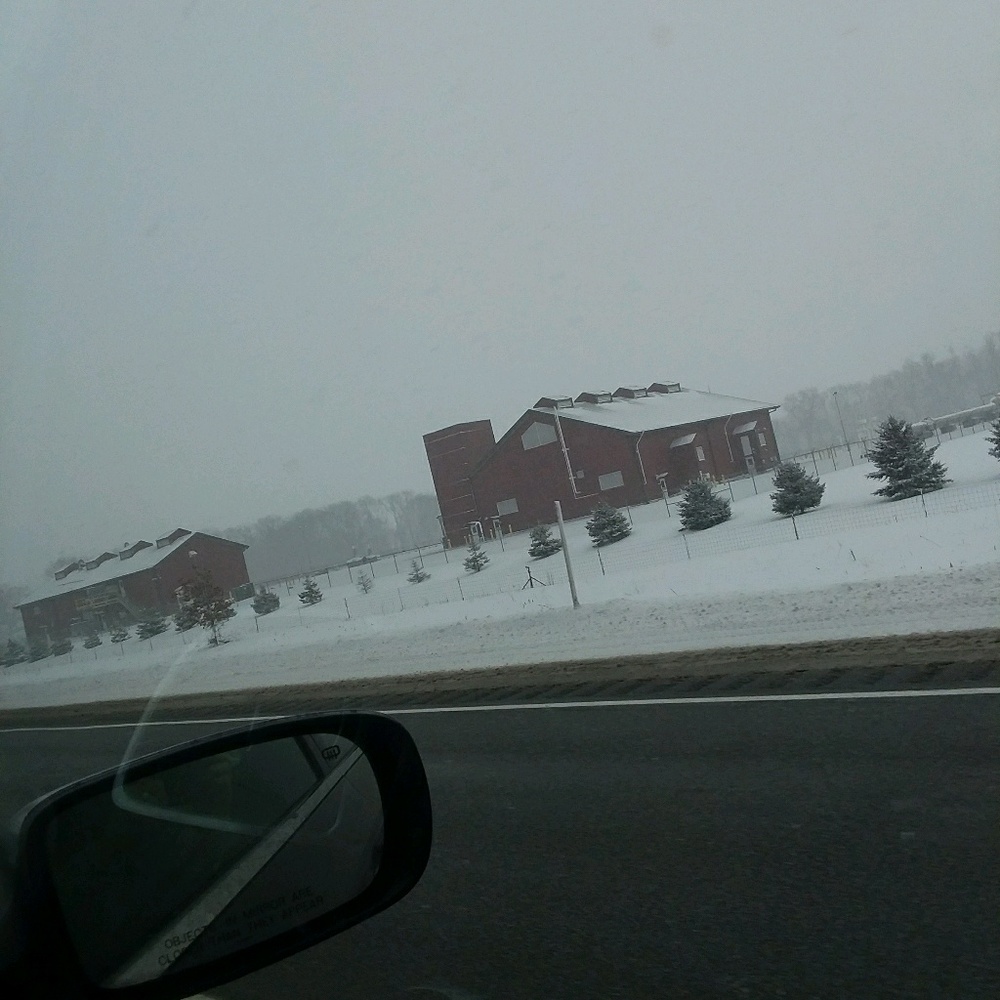 Meet your Posher, Wendy